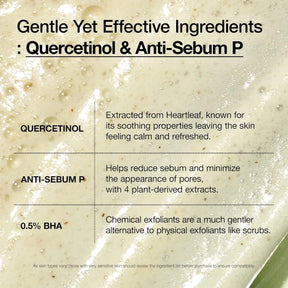 Anua Heartleaf Quercetinol™ Pore Deep Cleansing Foam